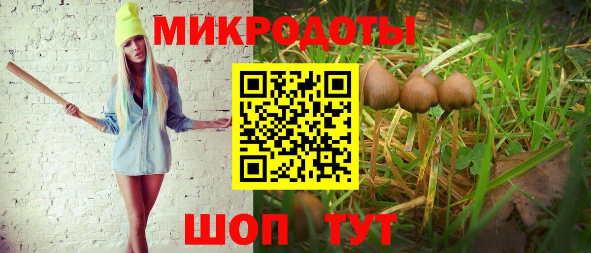 Псилоцибиновые грибы Psilocybine cubensis  Вход с VPN  Моздок  Псилоцибиновые грибы Magic Shrooms 